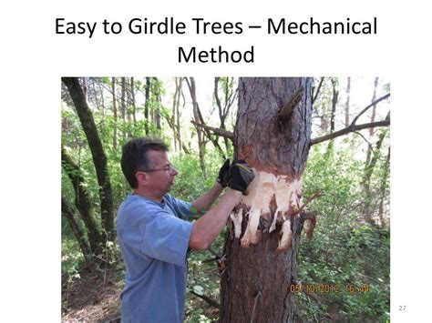 Girdling Trees to Create Snags and Coarse Wood Debris and to Improve