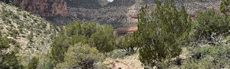 Hermit Trail to Granite Rapids Campground: 72 Reviews, Map - Arizona ...