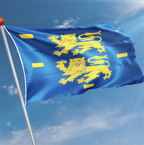 Vlag West Friesland Kopen Snelle Levering 8 7 Klantbeoordeling