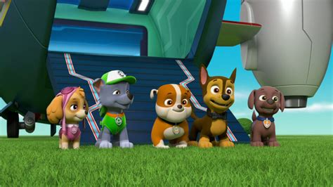 Paw Patrol Season 5 Episode 5 By Karllthorn On Deviantart