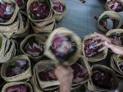 Penyembelihan Dan Pembagian Daging Kurban Di Solo Antara Foto