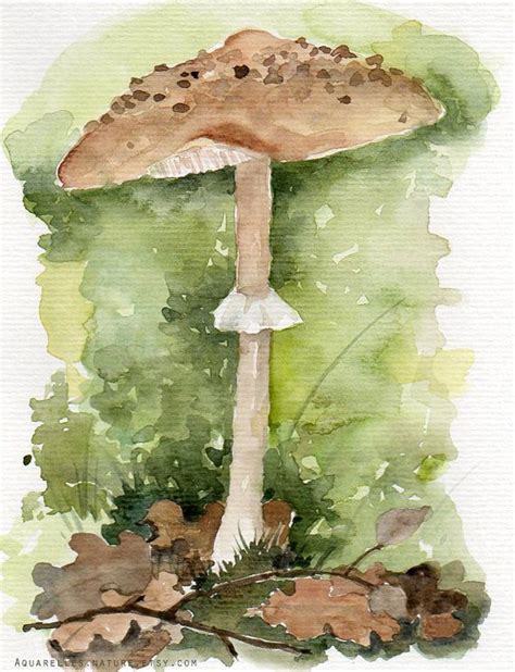 Parasol Mushroom Original Watercolor Painting Fungi Wild Painting