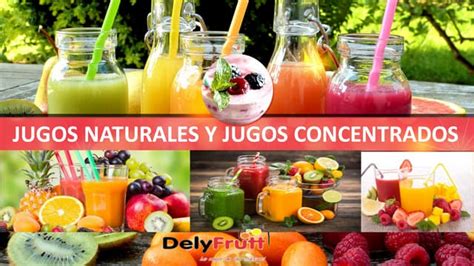 Recetas De Jugos Naturales Y Concentrados Pdf