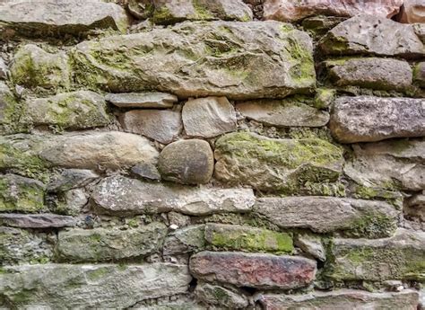 Fragmento De Un Muro De Piedra Salvaje Cubierto De Musgo Y Moho Foto