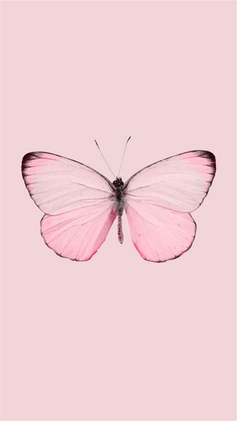 Wallpaper Butterfly In 2020 Iphone Wallpaper Tumblr 35d