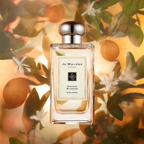 Jo Malone London Orange Blossom Diffuser 165 Ml Fredrik Louisa