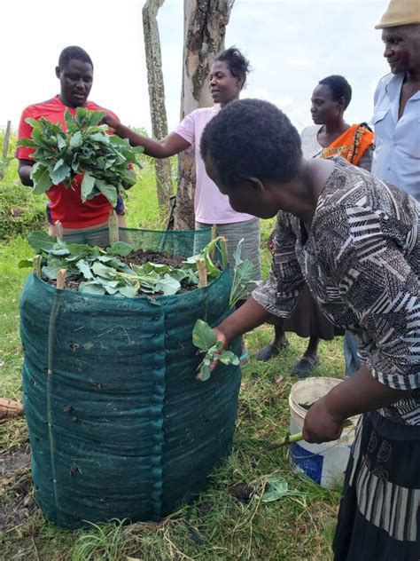 Vertical Sack Gardens Growing Into The Sky Make Me Smile Kenya