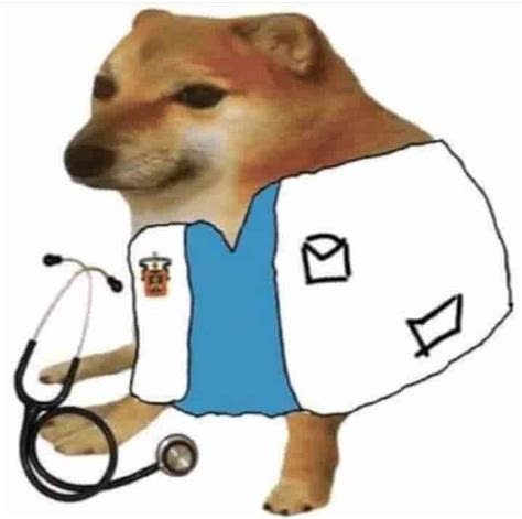 Cheems Doctor - Memes de Cheems