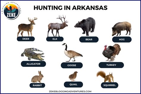 Hunting In Arkansas Season Guide Zeke Adventure Blog