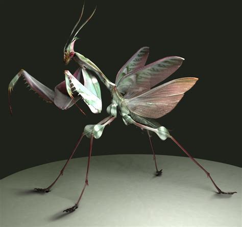 Artstation Devil Mantis