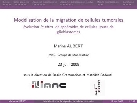 Modélisation de la migration de cellules tumorales évolution TEL