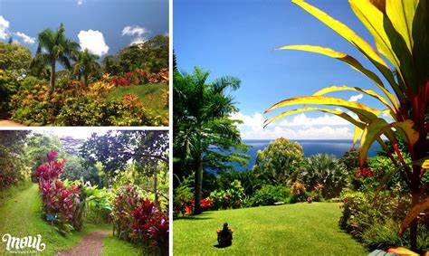 Garden of Eden Maui | Photos & Local Tips for the Road to Hana