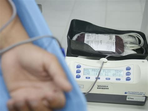 Ministério Da Saúde Lança Aplicativo Para Incentivar Doação De Sangue