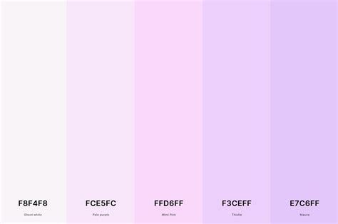 25+ Best Purple Color Palettes with Names and Hex Codes – CreativeBooster