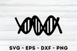 Dna Silhouette Svg Graphic By Magaart Creative Fabrica