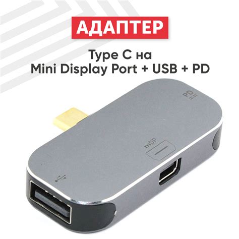 Ragex Type C Mini Display Port Usb Pd