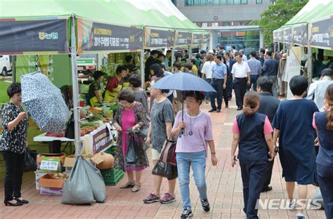 2019 추석맞이 직거래장터 네이트 뉴스