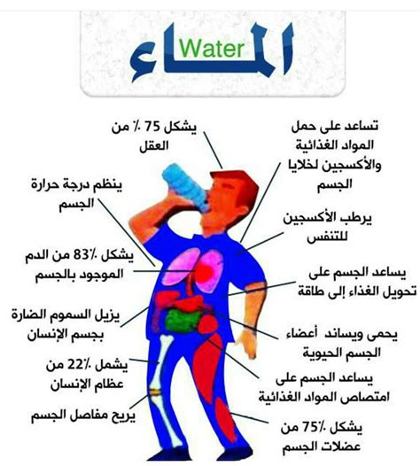 فوائد شرب الماء الاهمية والاحتياجات اليومية من الماء كيوت