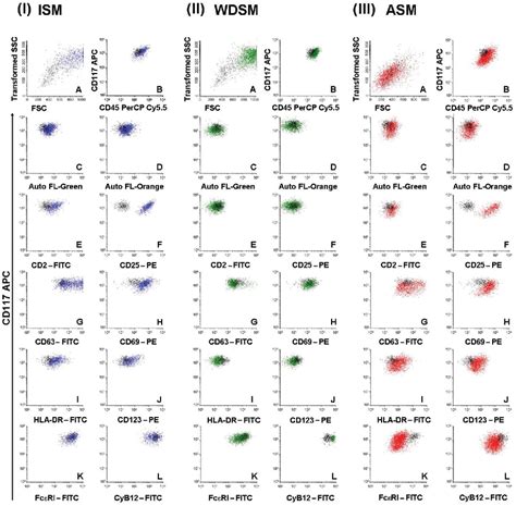 Figure From Immunophenotypic Characterization Of Bone Marrow Mast