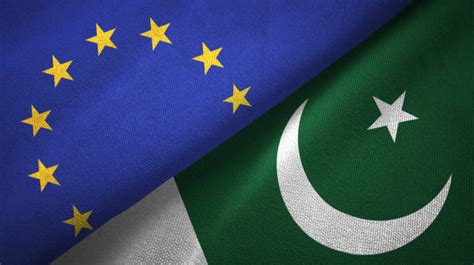 European Mps Assure Punjab Governor Of Support On Gsp Plus Extension