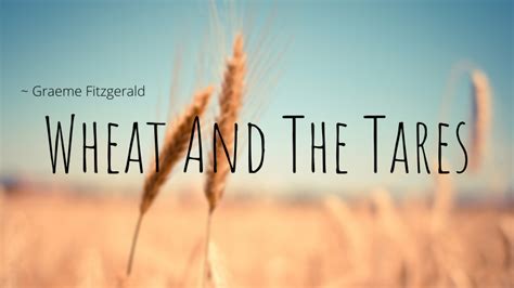 Wheat And The Tares | Reach Church