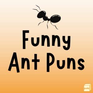 115+ Funny Ant Puns to Make You Laugh Ant-il You Cry - Box of Puns