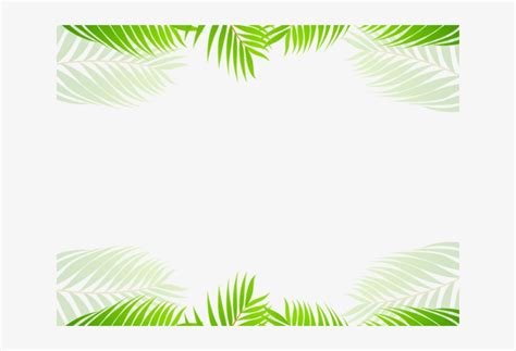 Tropical Clipart Border Palm Tree Transparent Png 640x480 Free