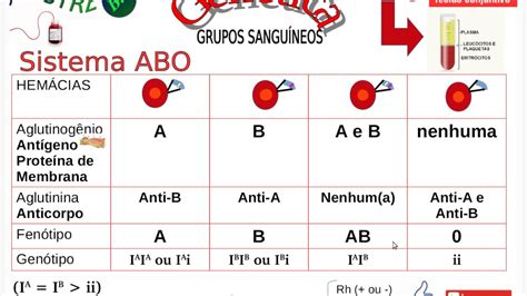 Tabla De Grupo Sanguineo