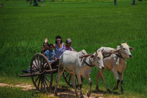 Siem Reap Visite Priv E D Une Journ E En Char B Ufs Siem Reap