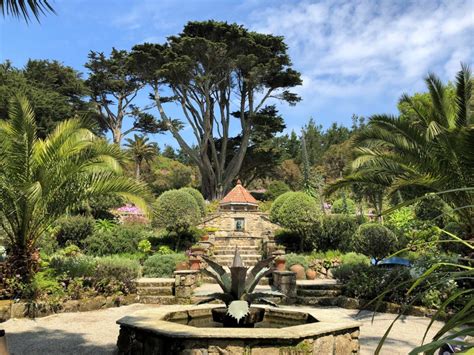 Tresco Abbey Gardens - Sisley Garden Tours