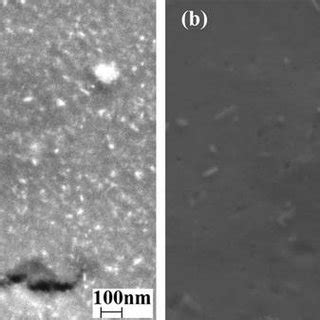 SEM Images Of IrO 2 Ta 2 O 5 Ti Anode A A Calcined At Low