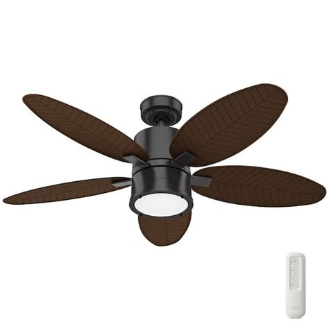 Hunter Indoor Outdoor Ceiling Fans | Shelly Lighting