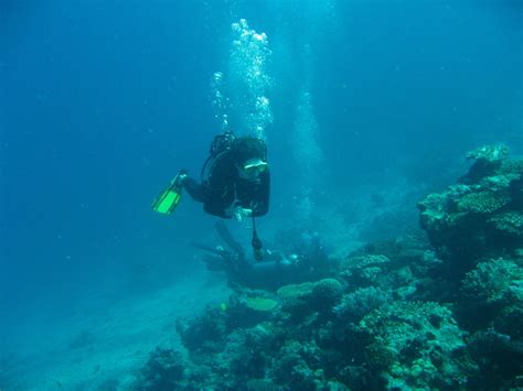 Rainbow-Reef-Scuba-Diving-Taveuni-Fiji-182