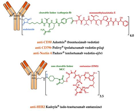 Kadcyla Structure