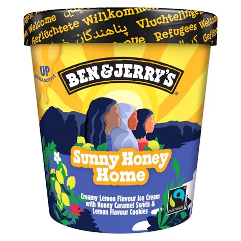 Ben And Jerrys Sunny Honey Home 465ML Co Op