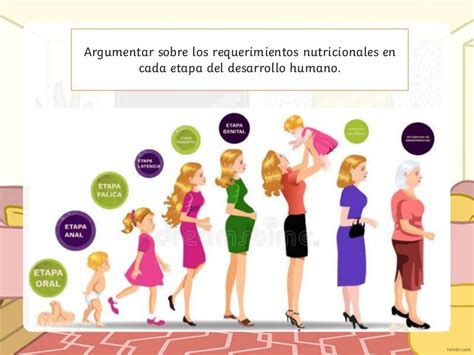 Etapas Del Desarrollo Humano Cuales Son Las Etapas Del Desarrollo Humano Autosectioner