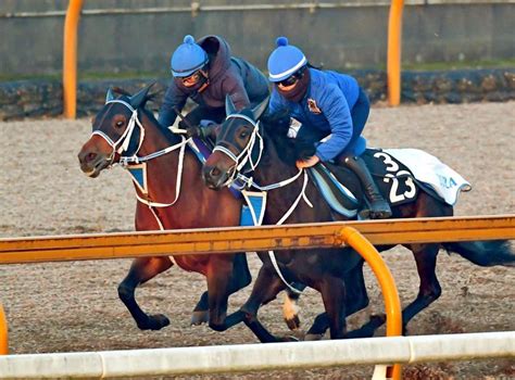 【フェブラリーs】キングズソード Jra・g1初制覇へ好感触！ラスト切れた11秒6うま屋デイリースポーツ Online