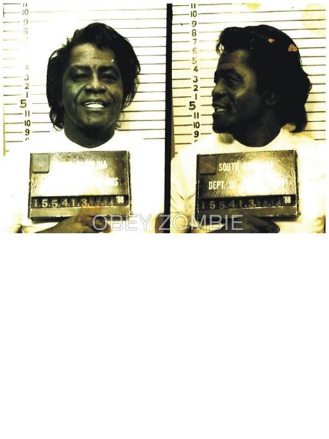 James Brown Mugshot Mug Shots James Brown Historical Figures