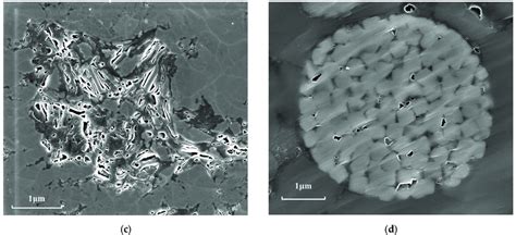 Scanning Electron Microscope Images Of Organic Pores In Shale A