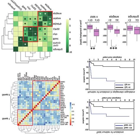 Molecular Profiling And Risk Factors Associated With Hematopoietic Cell