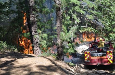 Small Pinelands blaze is reminder that N.J. forest fire season is ...