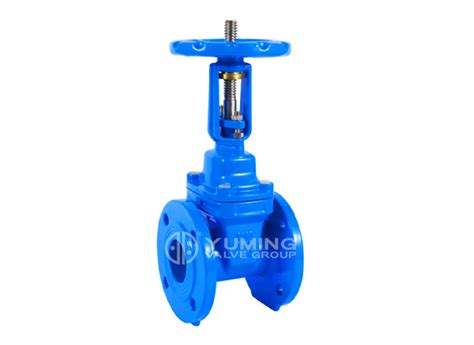 BS5163 Resilient Seat Gate Valve Yuming