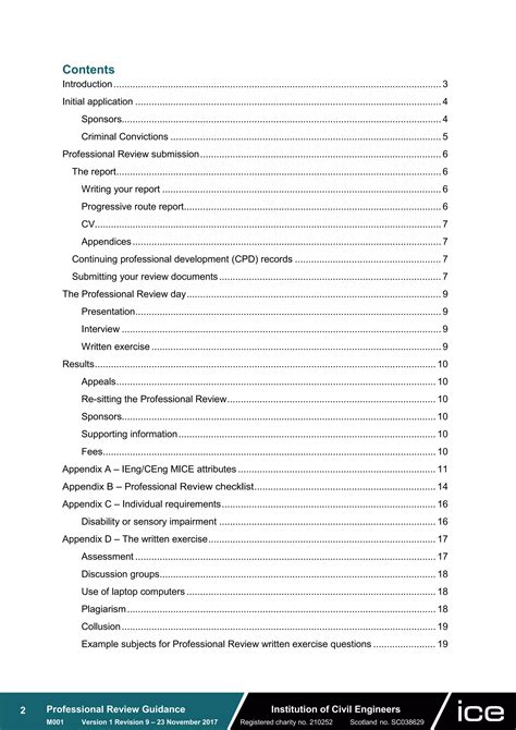 Ice professional review-guidance.pdf