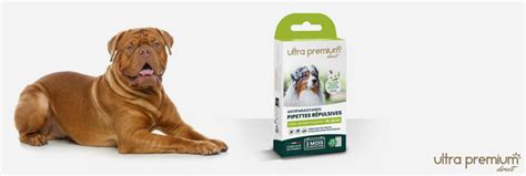 Pipette Anti Puces Pour Chien Comparatif Et Guide D Achat