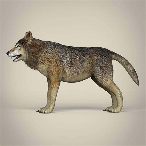 Wolf 3d Model By Treeworld3d