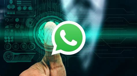 C Mo Exportar Un Chat De Whatsapp Con Todos Sus Archivos Blog De