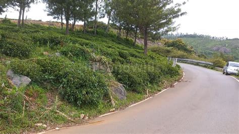 36 Lac 12 Cents Residential Plot For Sale In Thumanatty Ooty