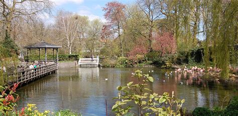 Artis Zoo I The tranquility of nature in the heart of Amsterdam