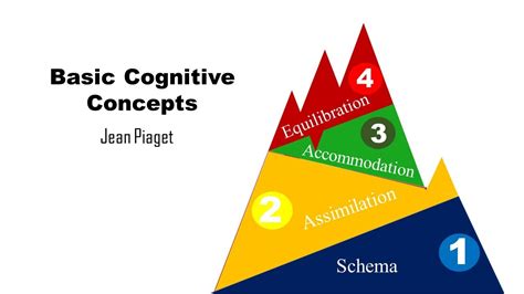 Basic Cognitive Concepts Schema Assimilation Accommodation Equilibration Youtube