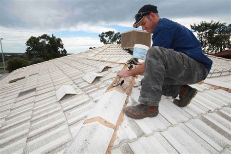 Ridge Capping, Rebedding and Pointing | Utter Gutters: Adelaide’s ...